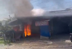 Warung Makan di Muara Dua Ludes Terbakar, Bara Bekas Bakar Sampah Diduga Jadi Pemicu