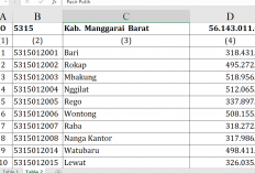 Dana Desa 2026 Manggarai Barat Rp56,1 Miliar, Mbakung hingga Tehong Tertinggi Rp518 Juta