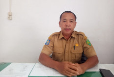 KUSUKA Jadi Kunci Bantuan Nelayan, 1.688 Nelayan Bengkulu Sudah Terdaftar