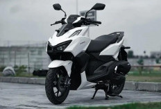 Jangan Salah Pilih! Ini 8 Motor Paling Laris di Indonesia yang Jadi Incaran Semua Kalangan