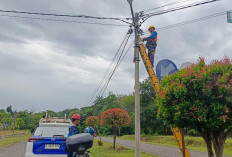 Atasi Jalan Gelap, 150 Titik PJU Baru Akan Terangi Kaur Selatan Tahun Ini
