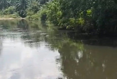 Sungai Selagan Menghitam, Warga Duga Akibat Limbah PT SAP