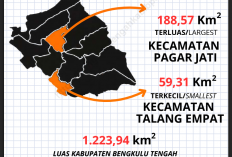Anggaran Transfer Bengkulu Tengah Naik Rp50 Miliar, Audit Ungkap Selisih dan Target Tak Tercapai