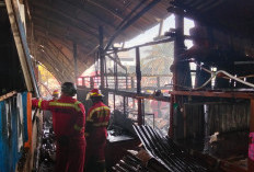 82 Kasus, Rumah dan Ruko Jadi Objek Terbanyak Kebakaran di Bengkulu Tahun 2025