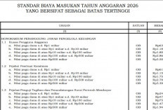 Honorarium Pengelola Keuangan APBN 2026 Resmi Diatur, KPA Pagu di Atas Rp500 Miliar Maksimal Rp3,5 Juta