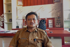 Isu Penutupan Pabrik Kelapa Sawit di Mukomuko Beredar, Ini Penjelasan Resmi Dinas Pertanian