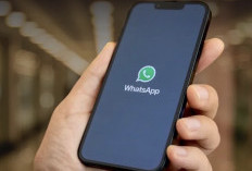 WhatsApp Android Bakal Punya Desain Baru