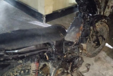 Ninja Sawit di Mukomuko Kepergok Beraksi, Nekat Ancam Habisi Mandor Kebun