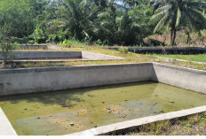 Pasokan Air Terhenti, Dinas Perikanan Mukomuko Jelaskan Kondisi BBI Lubuk Pinang