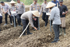 Dukung Ketahanan Pangan, Polres Mukomuko Tanam Jagung Serentak Kuartal I 2026