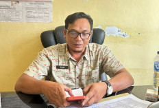 142 Reklame di Mukomuko Belum Jadi Objek Pajak, Potensi PAD Rp46,52 Juta Terabaikan