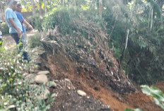 Hujan Deras Picu Longsor di Lubuk Mukti Mukomuko, Jalan Desa Tergerus