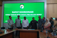 Harga TBS Sawit di Mukomuko Turun, Pemprov Bengkulu Tetapkan Kembali Harga Rp3.465 per Kg