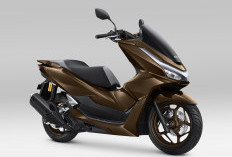 Makin Mewah, Honda PCX160 Meluncur dengan Pilihan Warna Terbaru