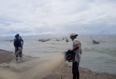 Pendapatan Nelayan Tertekan Akibat Cuaca Ekstrem, DKP Bengkulu Imbau Waspada