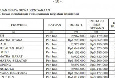 Tarif Sewa Mobil Dinas Harian 2026 Resmi Diatur, Bengkulu Rp985 Ribu Papua Pegunungan Tertinggi