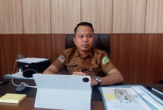 Baru 4,7 Persen Manfaatkan Pemutihan Pajak Kendaraan Bengkulu, Bapenda Kejar Wajib Pajak