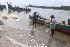 Perkuat Armada Nelayan, Dinas Perikanan Mukomuko Siapkan Bantuan Rp800 Juta