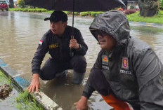 Drainase Tersumbat Sampah, Dedy Wahyudi Tinjau dan Tangani Langsung Titik Genangan di Jalan A. Yani