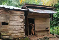 Pemkab Seluma Dapat 200 Unit BSPS dari Usulan 2.653 RTLH