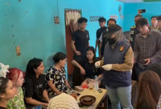 Operasi Sarang Narkoba di Pulau Baai Bengkulu, 4 Orang Positif Tes Urine, Satu Mahasiswa