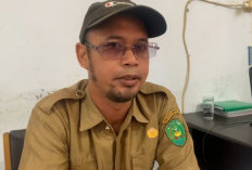 Alokasi Pupuk Subsidi Kota Bengkulu 2026 Turun, Pemkot Pastikan Tetap Tepat Sasaran