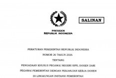 Dosen PPPK Lulus Seleksi Dapat Gaji, Tunjangan hingga Hak Pensiun PNS