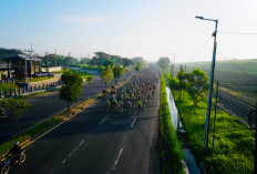 Edisi Ke-12, Bromo KOM Diikuti 1.000 Cyclist dari 319 Komunitas dan 14 Negara