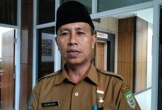 4.296 PPPK Paruh Waktu Pemprov Bengkulu Segera Dapat SK Perpanjangan, 47 Tak Masuk Daftar