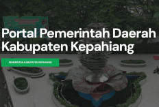 Audit BPK Catat Penganggaran Dana BOS dan BOP Kepahiang Belum Tepat, Nilainya Capai Rp5,71 Miliar