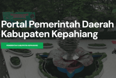 BPK Soroti Retribusi Parkir Kepahiang Anjlok, Setoran Dishub Hanya 16 Persen dari Target