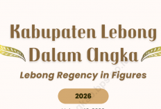 BPK Temukan Salah Anggaran Rp13,7 Miliar di Pemkab Lebong, Disdik dan RSUD Disorot