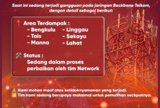 Layanan Telkomsel Error di Bengkulu, Ini Wilayah yang Terdampak