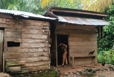 Dinsos Seluma Siapkan 15 Ribu Stiker Keluarga Miskin untuk Validasi Penerima Bansos Mulai 2026