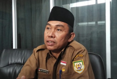 Sebanyak 50 Hewan Kurban Disiapkan Pemprov Bengkulu untuk Iduladha 2026