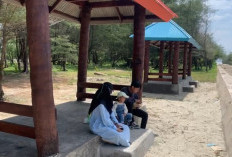 Pantai Panjang Ditata, Pemkot Bengkulu Sediakan Gazebo Gratis untuk Wisatawan