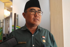 Hewan Kurban di Bengkulu Terus Bertambah, Masjid Belum Pernah Dibantu Jadi Prioritas