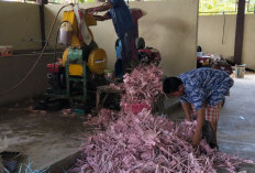Ketika Sampah Jadi Berkah, Warga Sumber Jaya Bangkit Bersama Pertamina Patra Niaga Regional Sumbagsel