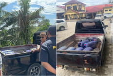 Isi BBM Berulang di Banyak SPBU, Pengunjal Biosolar di Bengkulu Tengah Diciduk Polisi