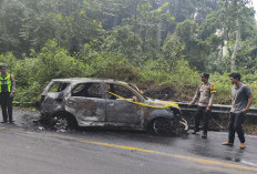 Terios Terbakar di Liku Sembilan, Pensiunan ASN Selamat dari Kobaran Api