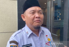 500 Guru Honorer di Rejang Lebong Masih Bergaji Minim, Dana BOS Jadi Tumpuan