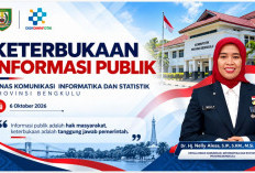 Permintaan Data Bengkulu Satu Data Melonjak 1.067 Persen, dari 3 Jadi 35