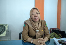 Fenomena Gunung Es HIV di Bengkulu, Dinkes Sebut Kasus Terdata Masih Rendah