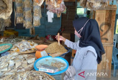 Pembiayaan UMi Bengkulu Tembus Rp100,12 Miliar, DJPb Dorong UMKM Manfaatkan Program
