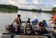 Kronologi Warga Mukomuko Hilang Saat Cari Lokan di Sungai, Diduga Diterkam Buaya