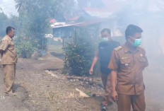 Satu Warga Terjangkit DBD, Kecamatan XIV Koto Mukomuko Lakukan Fogging