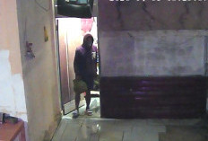 Aksi Maling Dini Hari di Kandang Limun Terekam CCTV, 6 Tabung Gas Raib Digondol