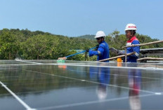 PLTS 1 MW Hadir di Pulau Sembur, Warga Kini Bisa Nikmati Listrik 24 Jam