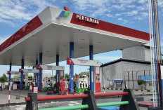Harga BBM Non Subsidi Pertamina Turun Mulai 1 Juli 2026, Pertamax Turbo hingga Dexlite Lebih Murah