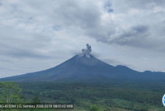 Gunung Semeru Erupsi 3 Kali Pagi Ini, Kolom Abu Capai 800 Meter